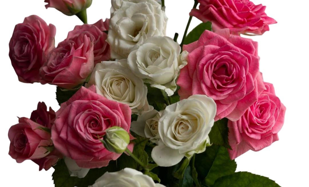 Creative-Days-Flower-Shop-Web-Design